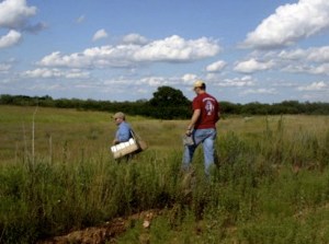 22672_260041097441_2589027_n-edit